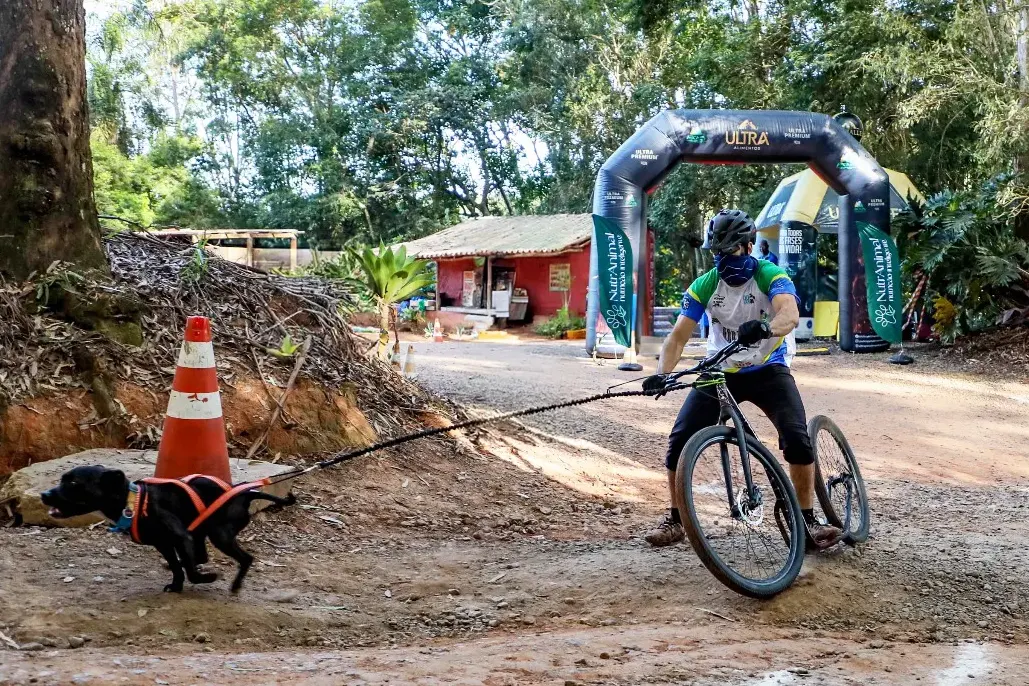 icf-photo-brasil-9